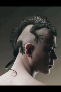 I want this hair cut it's the best for year 2012 lol lizard or whatever hair cut style so cool