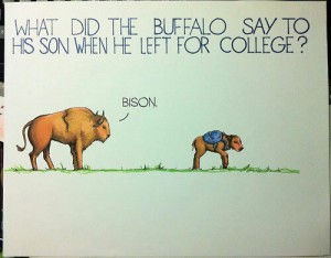 what do the buffalo say to his son when he left for college bison (bye son)