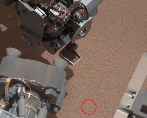 mars rover found dead plant or shredded animal skin lying on the sand? no false alarm it was just the rover skin peeling off LOL