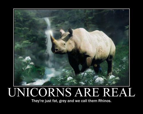 Unicorns horse does exist and still exist today here is the proof unicorns are real they're just fat grey and we call them rhinos