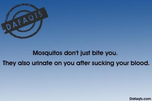 mosquitos don't just bite you they also urinate on you after sucking your blood