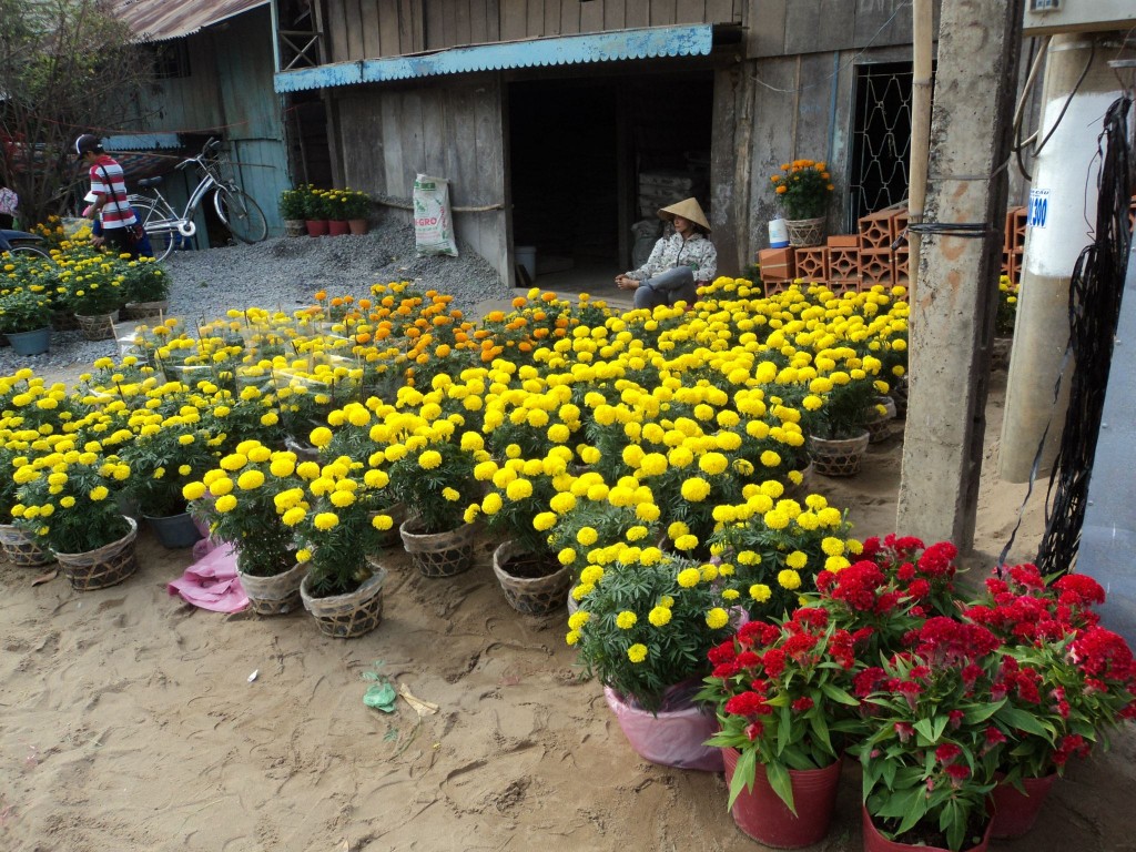 Cu Lao Tan Thoi - Flower Market for TET 2013 in Vietnam Tan Thoi