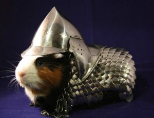 guinea pig ready for battle! LOL armor for sale on ebay 