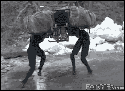 two persons four legs robot that look like two guys carrying large load of baggage?