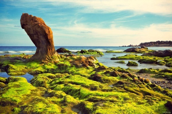 Biển Cổ Thạch, Phan Thiết - Phan Thiet Vietnam Co Thach beach