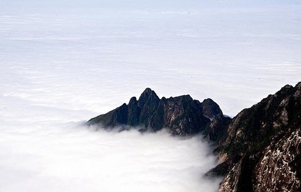Phan Xi Păng mây mù - Phan Xi Pang Vietnam cloudy day up the mountain