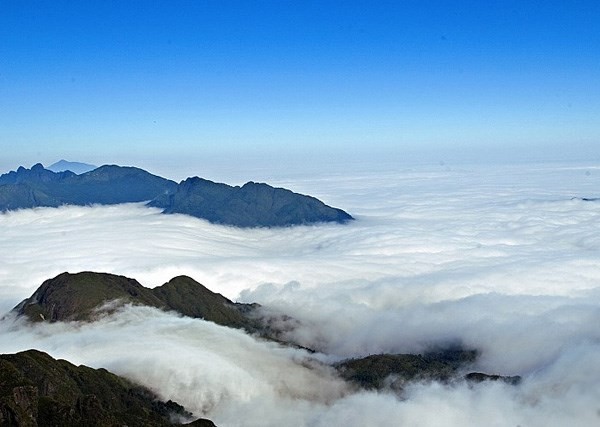 Phan Xi Păng mây mù - Phan Xi Pang Vietnam cloudy day up the mountain