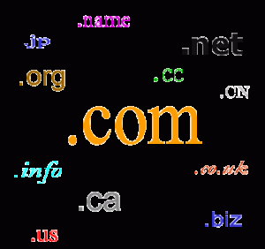 how to choose a good domain name for investment like real estate such as 2plo.com four letters domain name still available