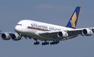 giant passengers airline A380 singapore airlines it has two levels of passengers seating top and below deck not including cargo area