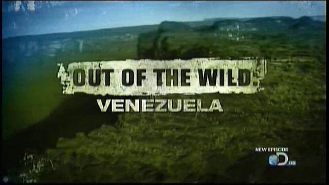 download out of the wild venezuela movie tv series on discovery channel free streaming HD DVD ripped