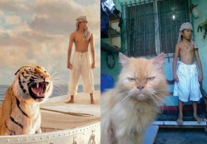 Life of Pi at a younger age a ct kitten and a kid